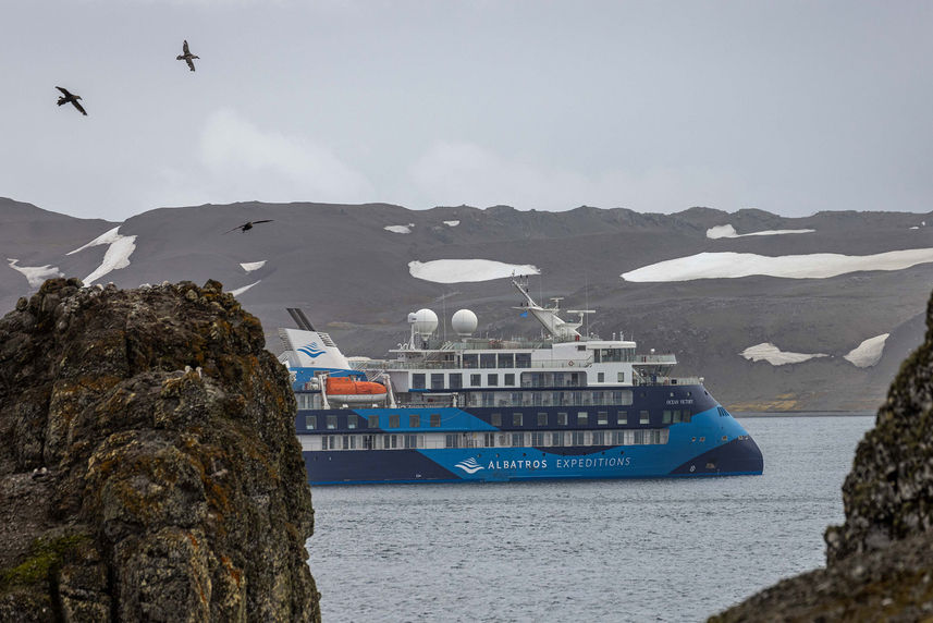 Ocean Albatros Antarctica