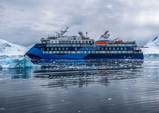 Ocean Albatros Antarctica
