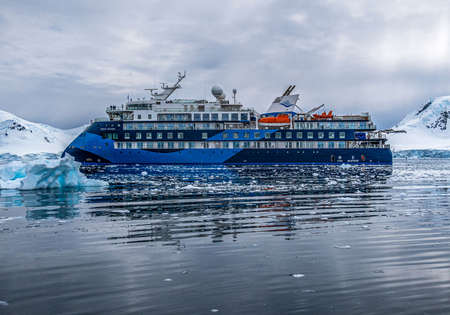 Ocean Albatros Antarctica