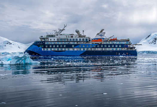 Ocean Albatros Antarctica