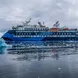 Ocean Albatros Antarctica