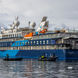 Ocean Albatros Antarctica