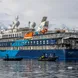 Ocean Albatros Antarctica