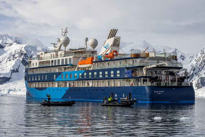 Ocean Albatros Antarctica