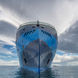 Ocean Albatros Antarctica