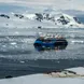 Ocean Albatros Antarctica