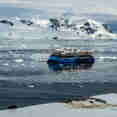Ocean Albatros Antarctica