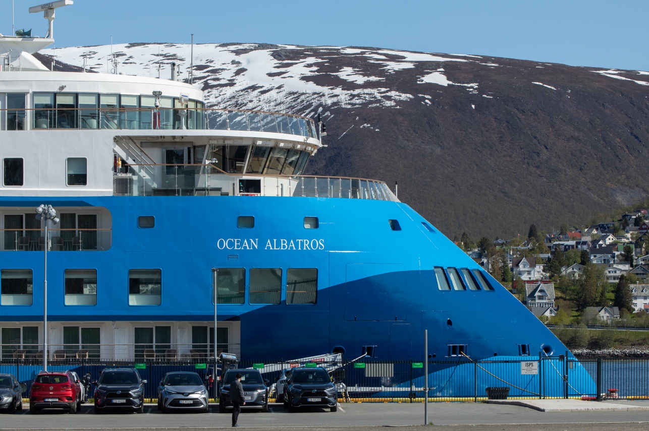 Ocean Albatros Antarctica