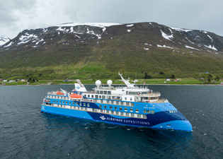 Ocean Albatros Antarctica
