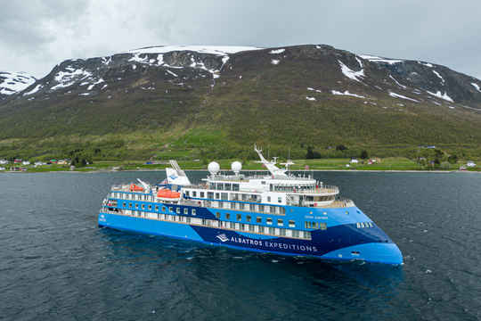 Ocean Albatros Antarctica