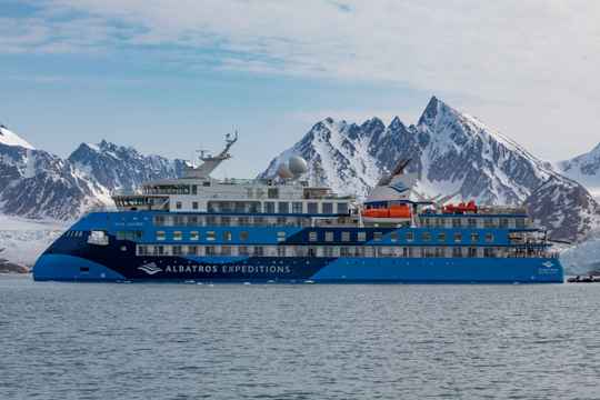 Ocean Albatros Antarctica