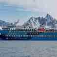 Ocean Albatros Antarctica