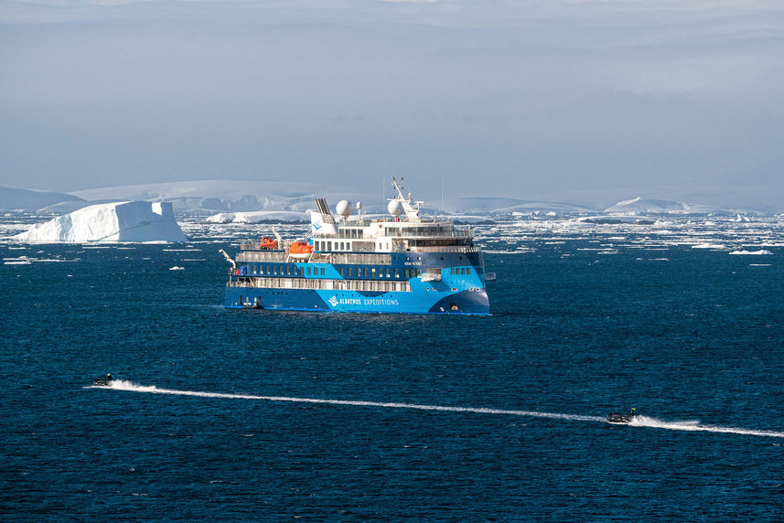 Ocean Albatros Antarctica