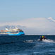 Ocean Albatros Antarctica