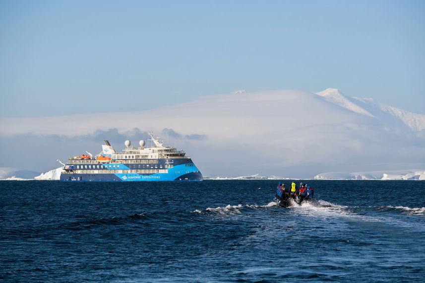 Ocean Albatros Antarctica