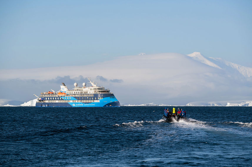 Ocean Albatros Antarctica
