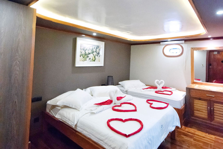 Standard Cabin - Princess Ulua