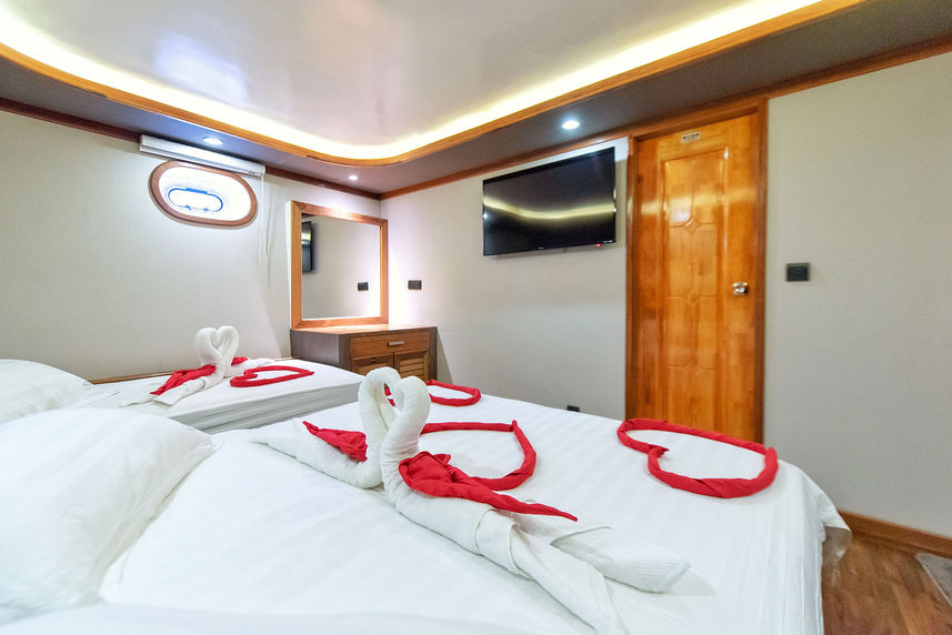 Standard Cabin - Princess Ulua