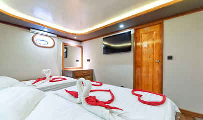 Standard Cabin
