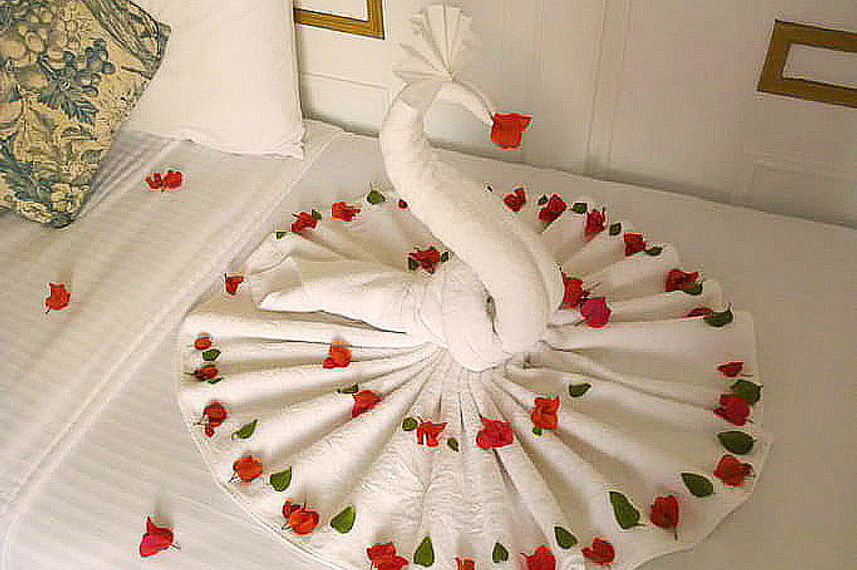 Cabin Towel