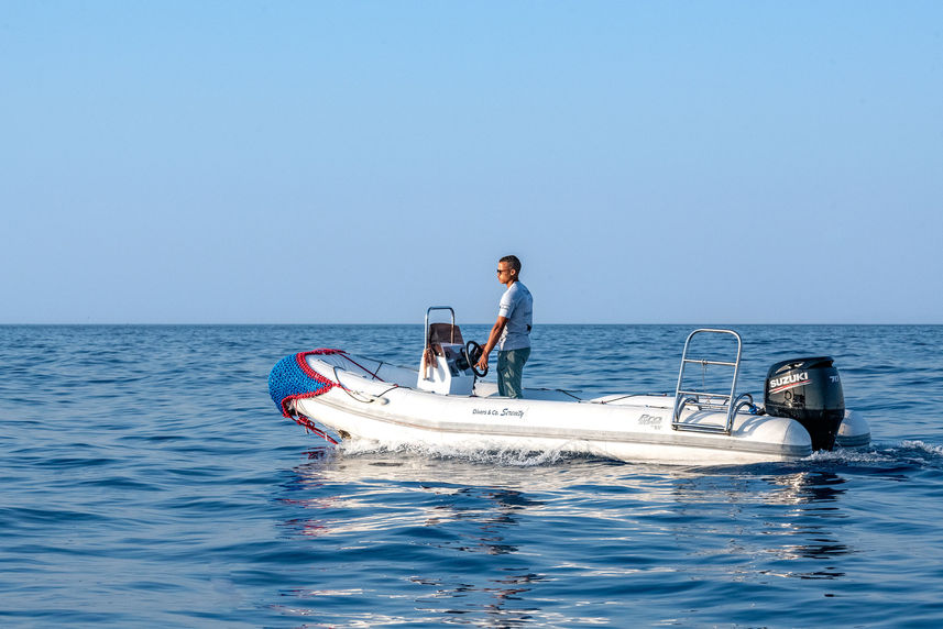 Diving Dhoni - Serenity