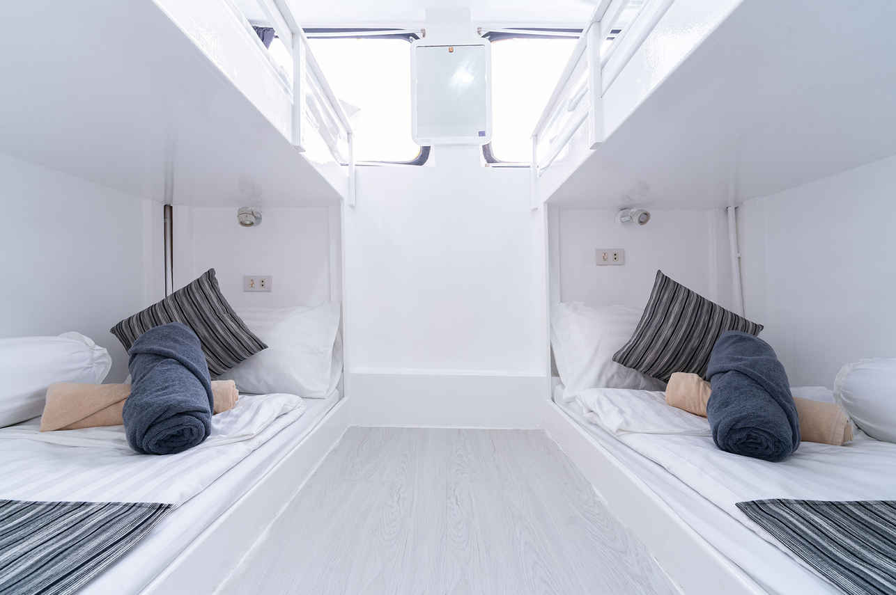 Bunk Bed