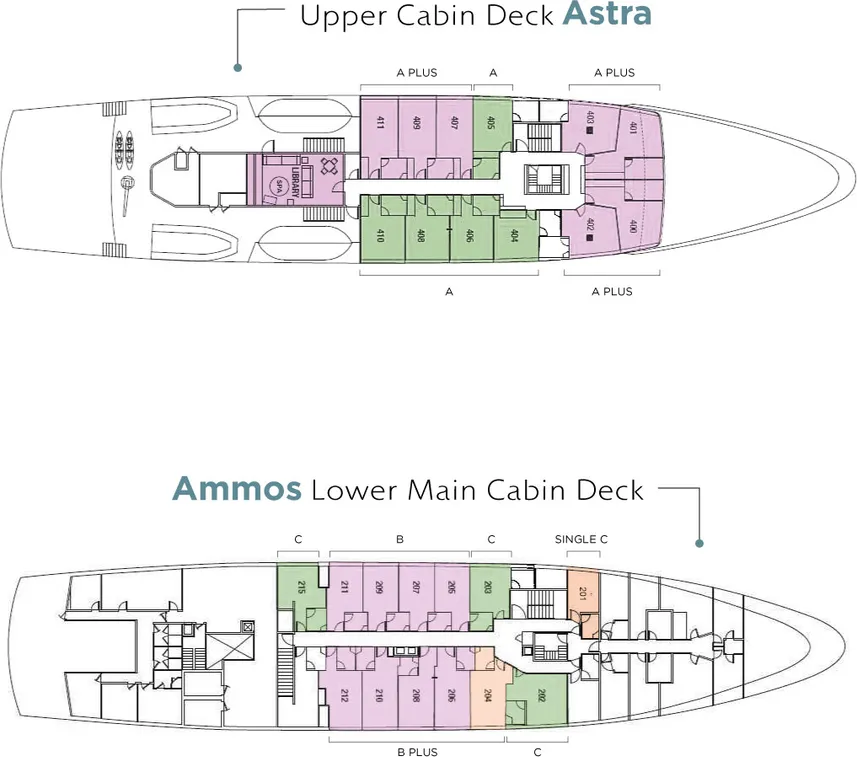 disposizione del ponte