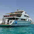 Sea Scorpion