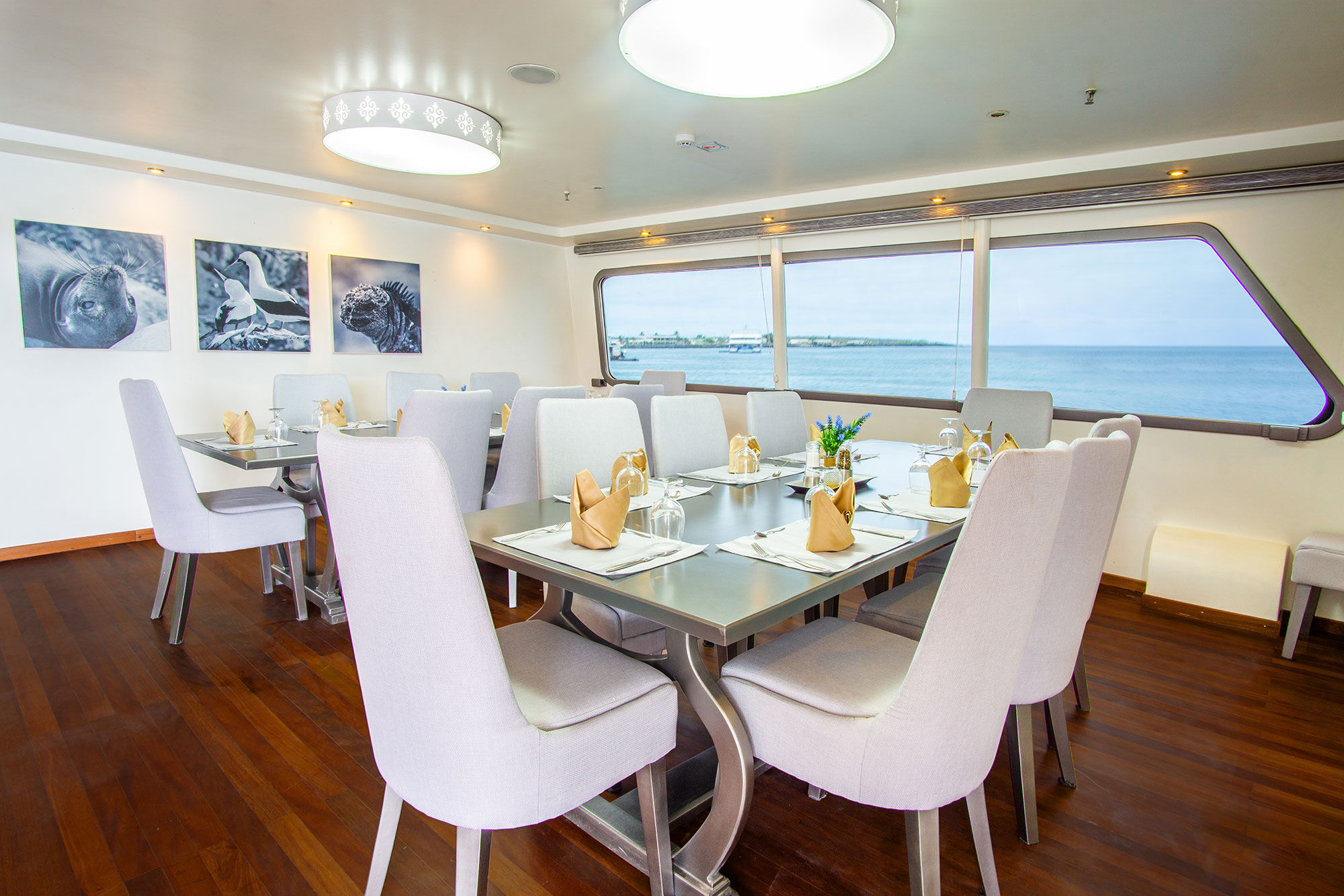 Sala de Jantar - Galapagos Horizon