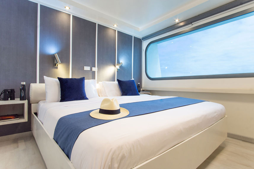 Double Cabin - Galapagos Horizon