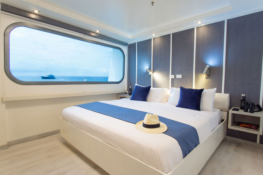 Double Cabin - Galapagos Horizon