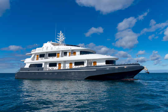 Galapagos Horizon