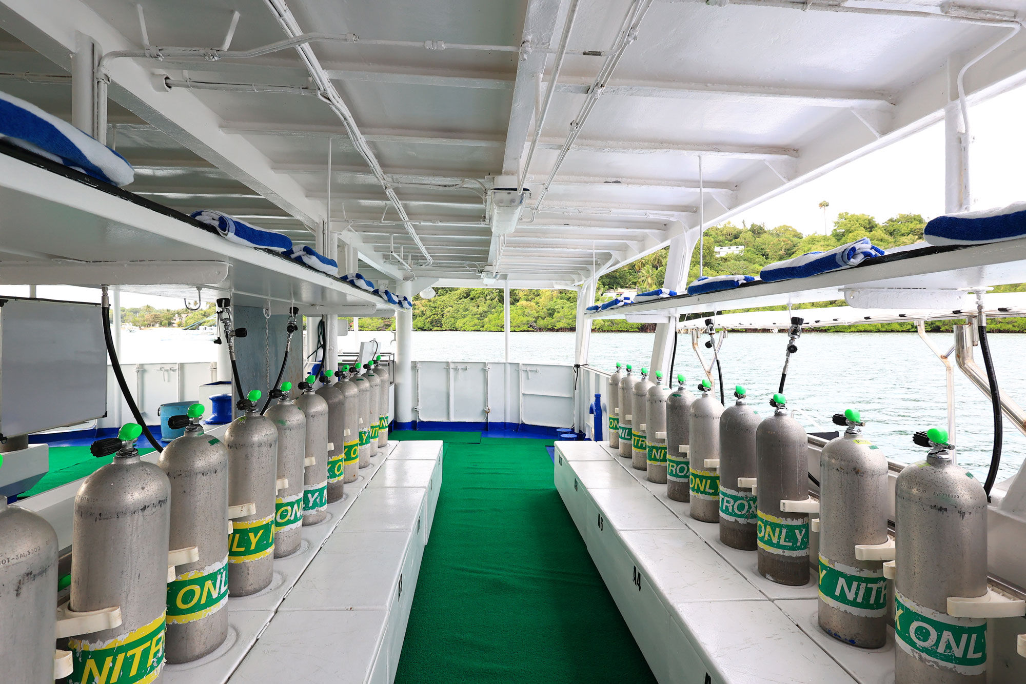 Dive deck - Palau Sport