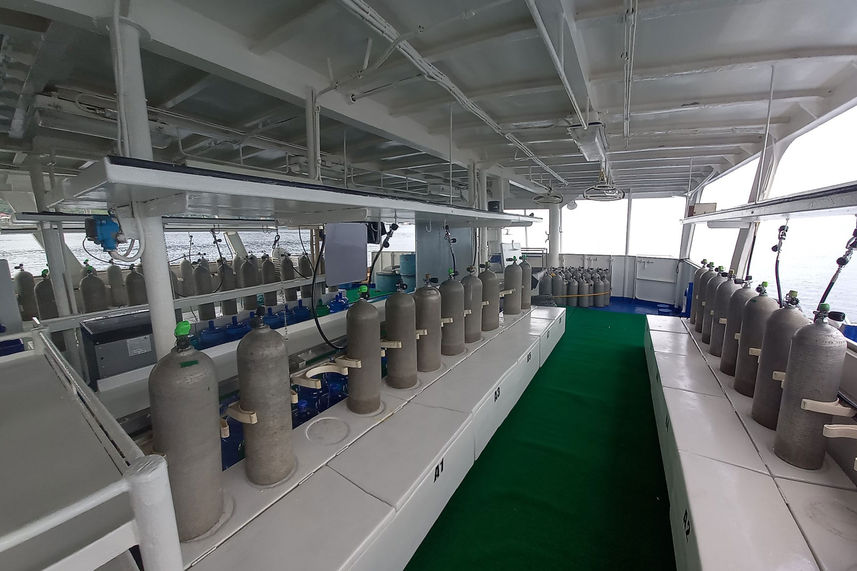 Dive deck - Palau Sport