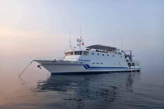 Palau Sport