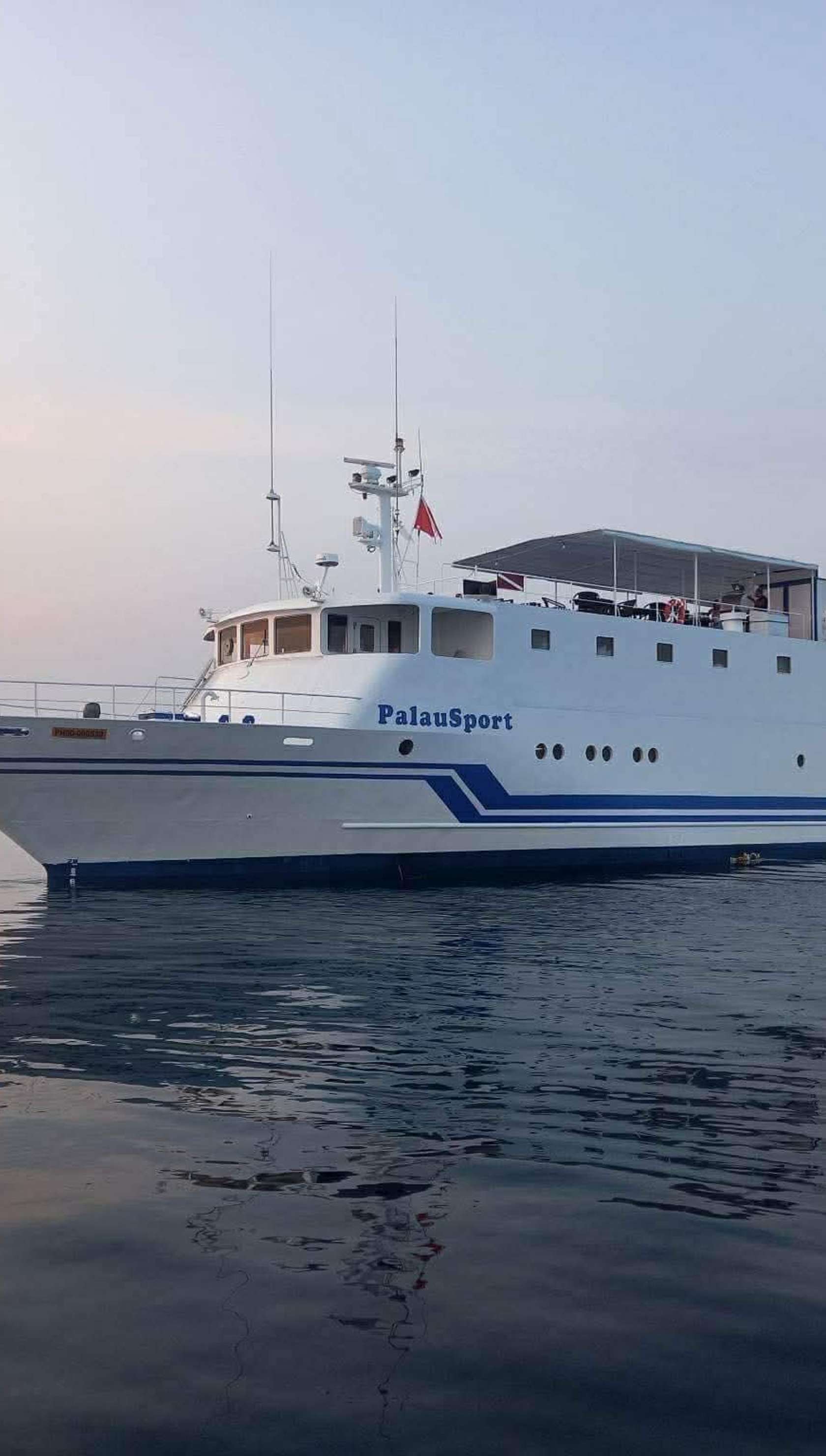 Palau Sport