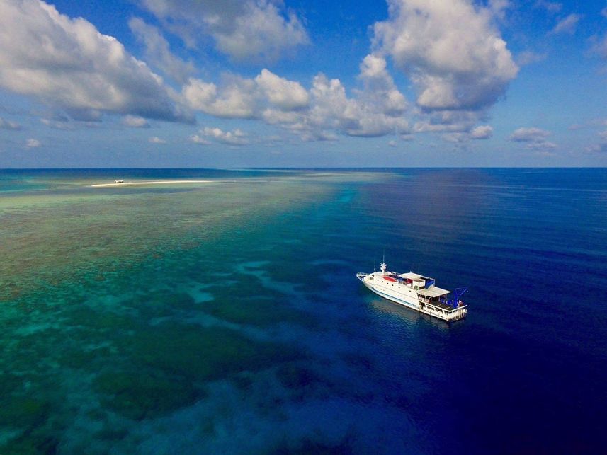 Vue aérienne - Palau Sport