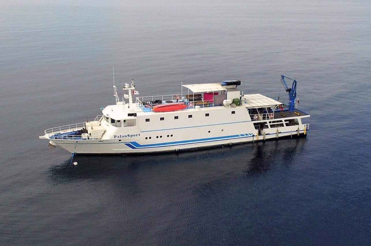 Palau Sport
