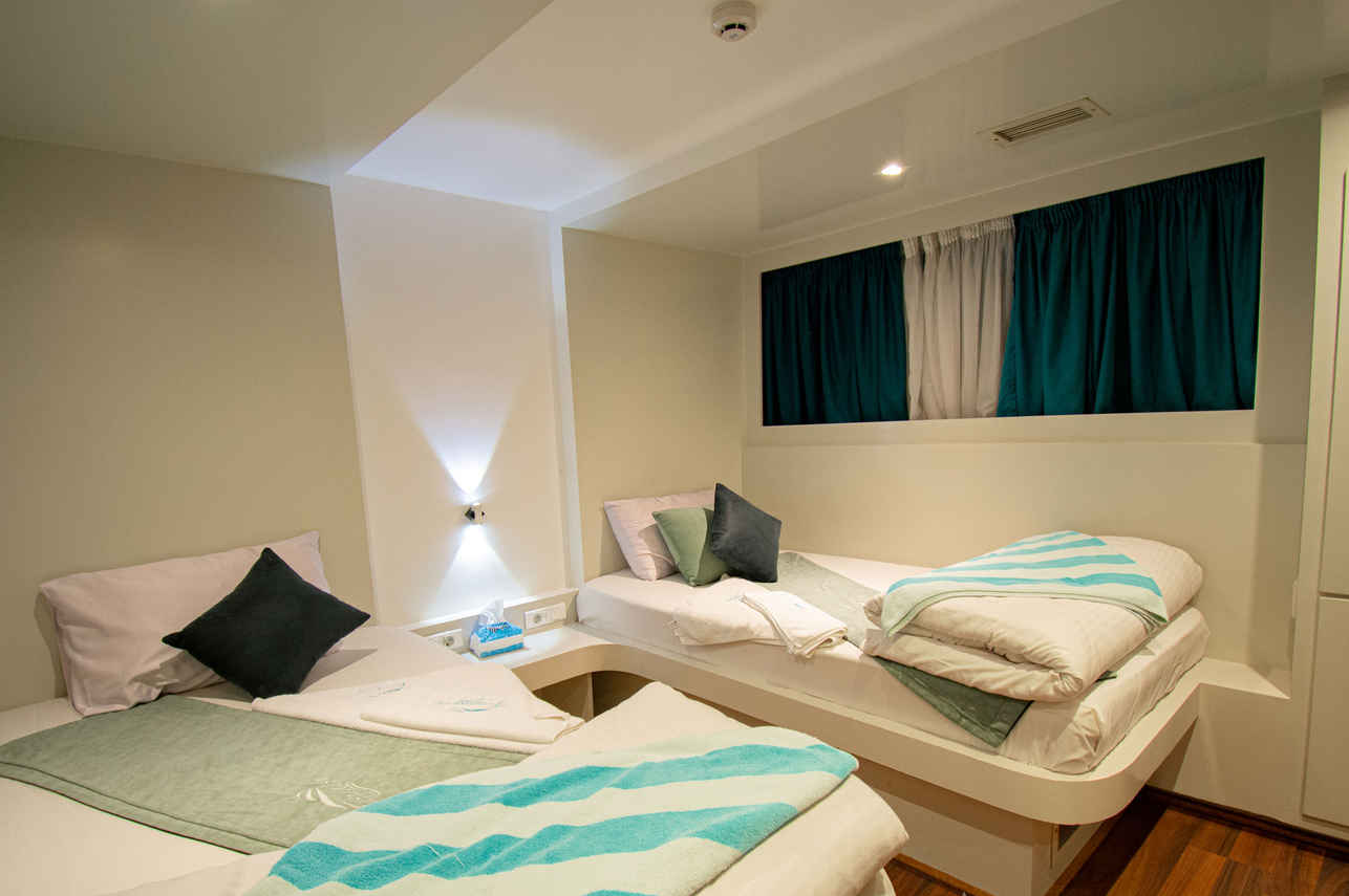 Twin Cabin - Red Sea Aggressor IV