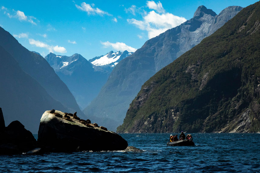 Fiordland Zodiac