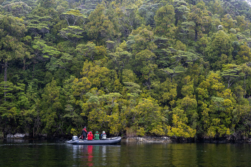 Fiordland Zodiac