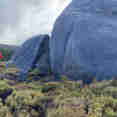 Stewart Island