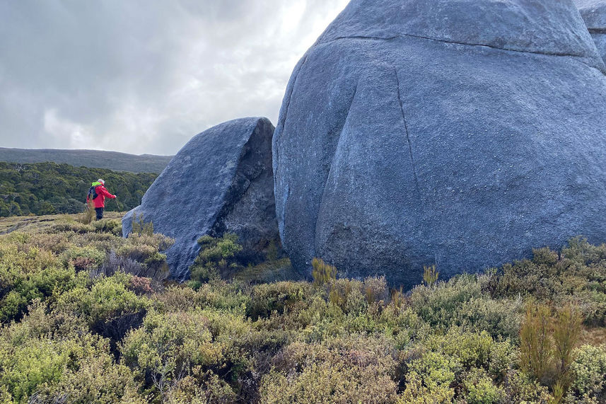 Stewart Island