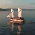 The Maj Oceanic