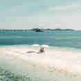 Beach Dining