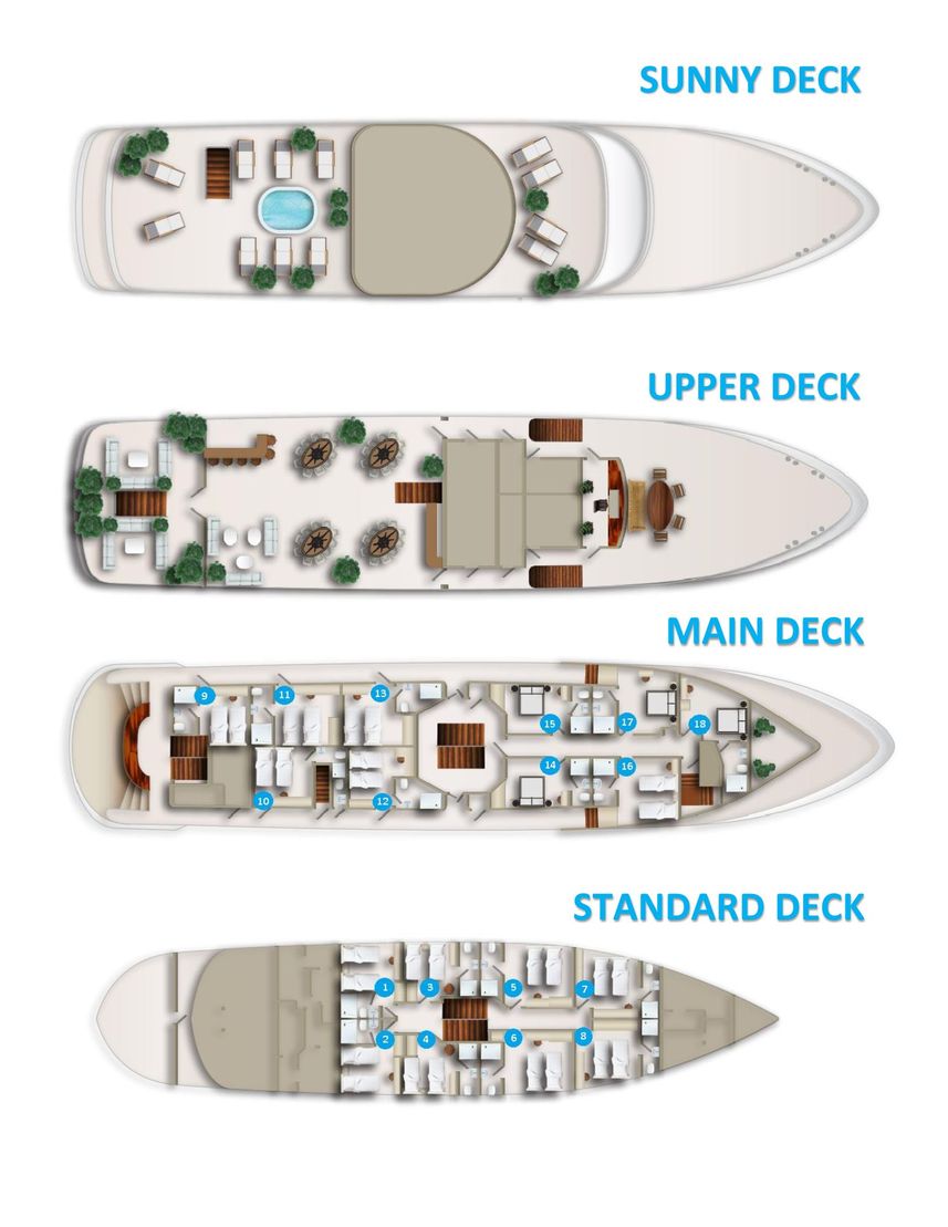 #deckplan - San Spirito