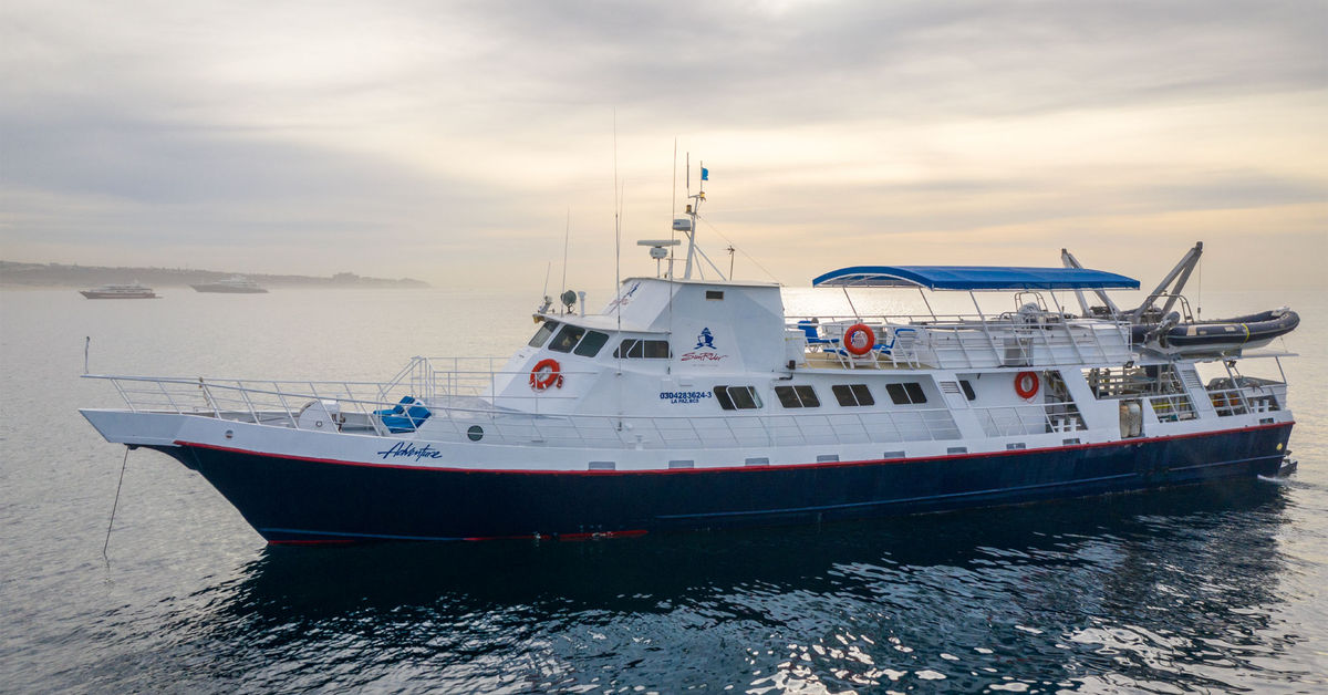 www.liveaboard.com