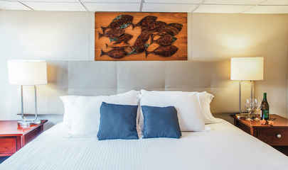 Premium Suite