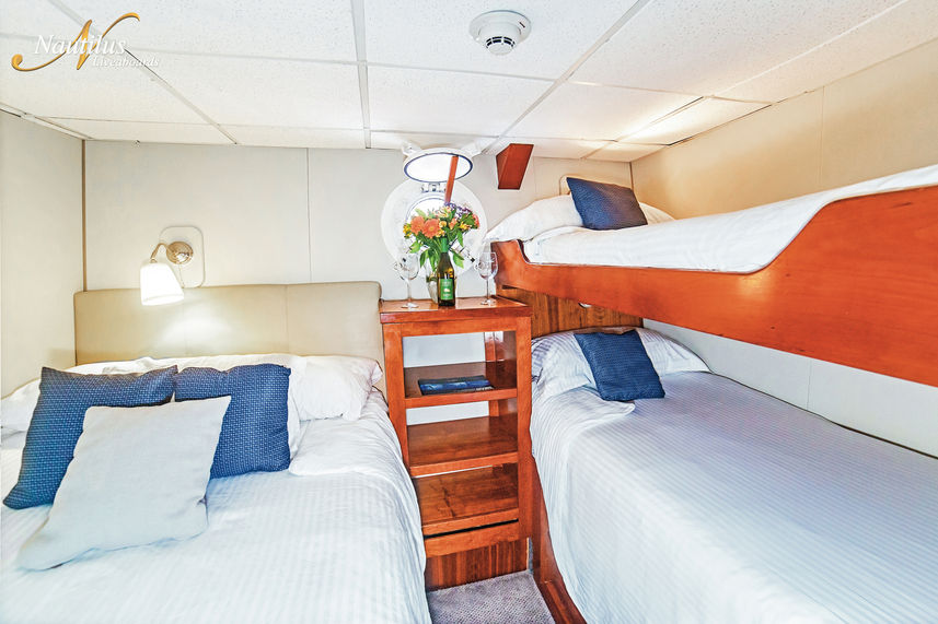 Triple Cabin - Nautilus Explorer Costa Rica