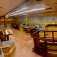 Indoor Saloon - Springland